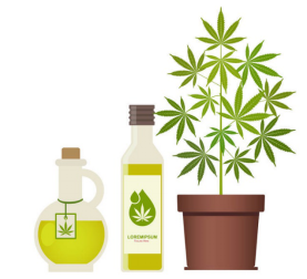 植物化妆品市场持续“发酵”，八款有爆发潜力的天然护肤原料！